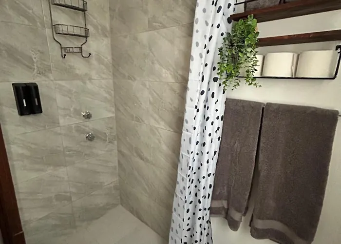 Amazing Restored 1940s Art-deco Apartment Mexico City